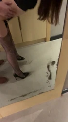对镜子输出狗