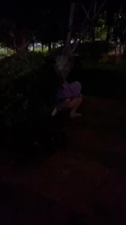 0551交换 遛狗