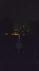 野性的呼唤之公园运动