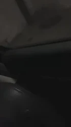 车震性感少妇