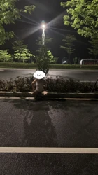 母畜国道爬行露出，面对路人避无可避