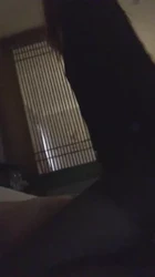 骚妻和单男的最新活动，