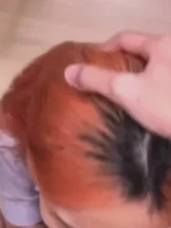婊子合集
