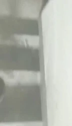 丹夫人系列之在家发骚被邻居操了