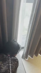 黑丝高跟御姐被主人牵着狗链当母狗玩