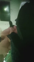 双飞大战