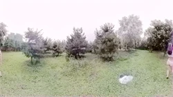 宝宝的秘密