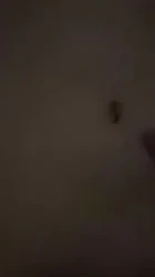 南宁dd一个女大