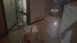 上门按摩近距离特写