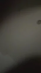 泰妹-2