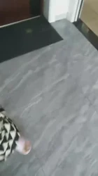 大嫂却在卫生间被我操完才出门