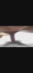 大屁股坐我