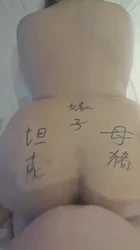 石家庄开坦克