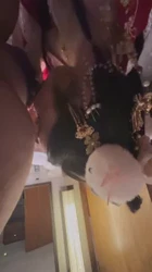 贵妃吃棍图