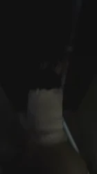 门口边听声边操小猫（沈阳抚顺）