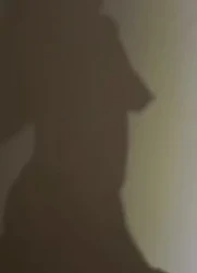 骚货倒影lzx