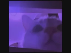 抖音风抽屉变装合集