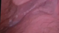 柳州城市职业学院女大自慰流水