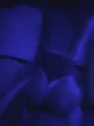 大连巨根小帅收母狗女粉，欢迎单女夫妻交流