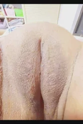 老婆的馒头
