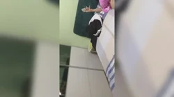 饭店婊子老板娘