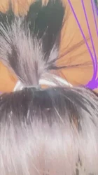 穿上粉丝送的内衣，戴项圈、打屁股、舔屁眼，叫baba，高潮喷了一米远