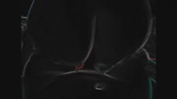 母狗—全自动榨汁机