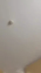 前女友大喊操我