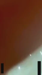 东北名人熟女 少妇