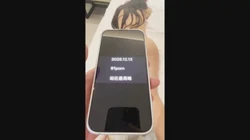 验证，辛苦管理审核通过