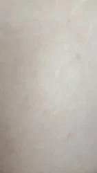 肛交坦克