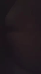 白云嘉禾