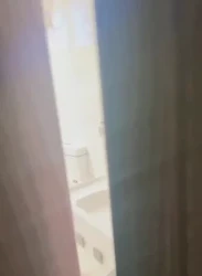 杭州小叔子回家第一波
