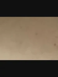 打电话人妻2