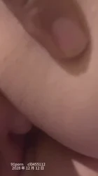 新疆双 12