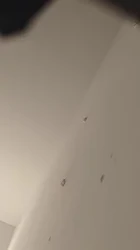 狠狠操出轨少妇