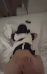 07年18岁小母狗对白清晰后入调教抽搐