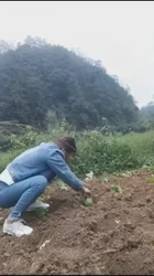 超反差少妇，狠狠后入