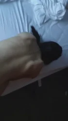 后入青岛骚母狗叫声淫荡