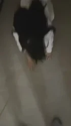 “快操我 我快上天了 快操我”已婚少妇淫荡无比对白刺激