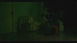 womaninbed twelve