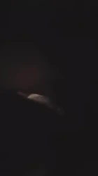后入大姨子
