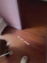 06母狗带肛塞尾巴爬行，对镜口交毒龙后入