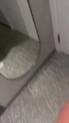 酒店开门爆操新区女大