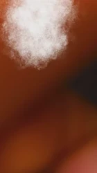 抓起06前女友骚脚无套