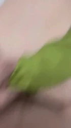 狠狠干骚逼（北京骚逼来加我）