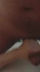 石家庄找交流