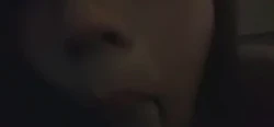 皮带抽打调教狗链子母狗，红红的屁股后入才舒