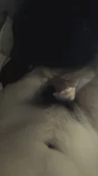 雪白少妇撅起屁股舔肉棒