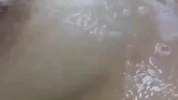 老婆洗澡自摸